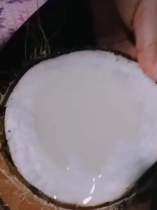 Đặc Sản Dừa Sáp Cầu Kè - Ảnh 3