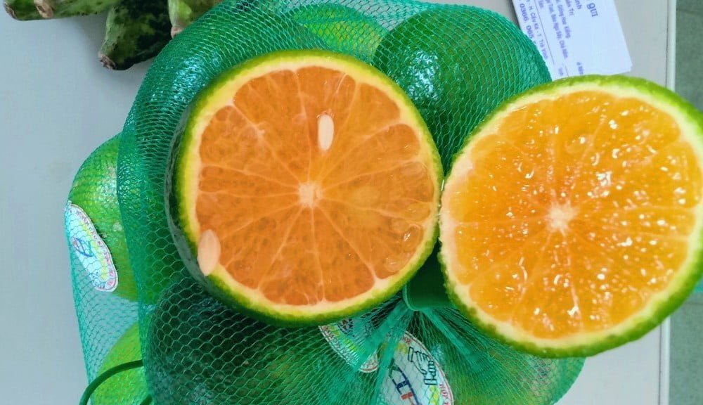 Cam Sành Trà Vinh đạt 3 sao OCOP - Ảnh 7