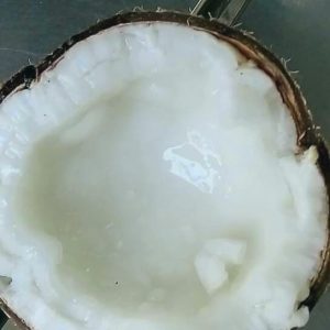 Dừa sáp Cầu kè Htx Nông Nghiệp Thông Hòa