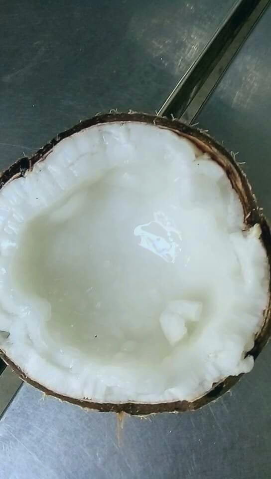 Dừa sáp Cầu kè Htx Nông Nghiệp Thông Hòa