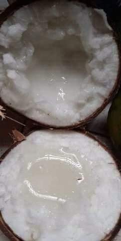 Đặc Sản Dừa Sáp Cầu Kè - Ảnh 2