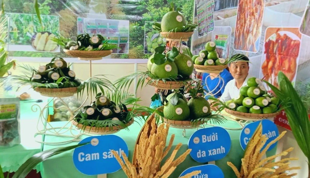 Htx Nông Nghiệp Thông Hòa Trưng Bày Trái Cây