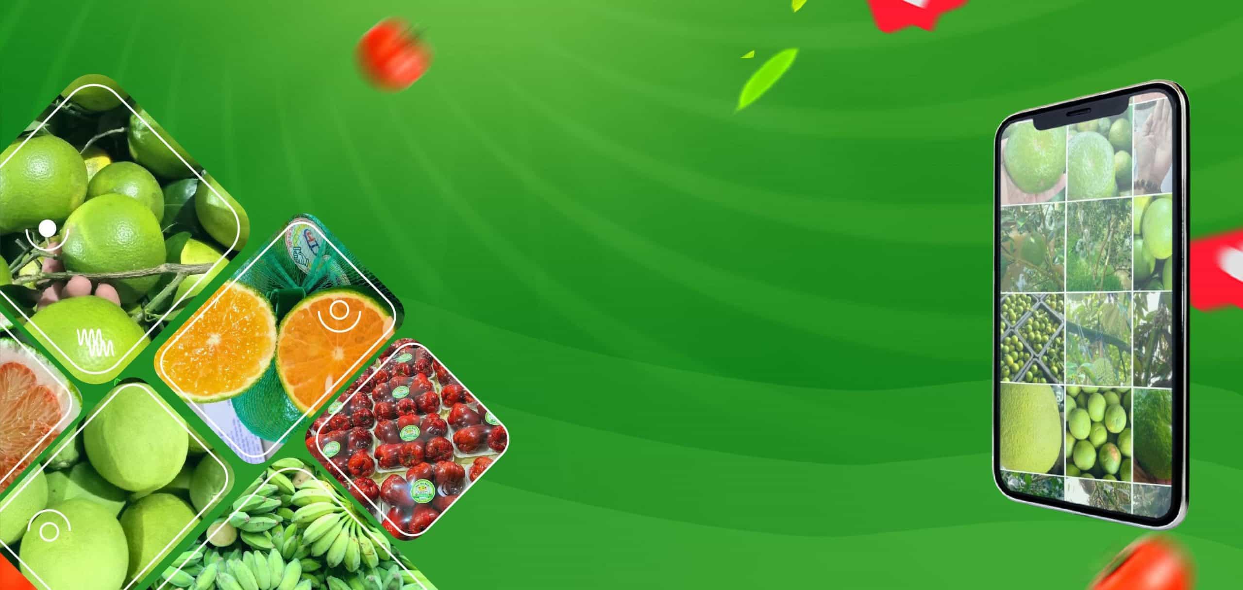 Banner trái cây htx nông nghiệp thông hòa
